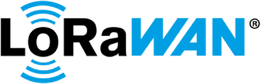 LORAWAN300